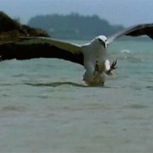 Meet your Posher, Jose